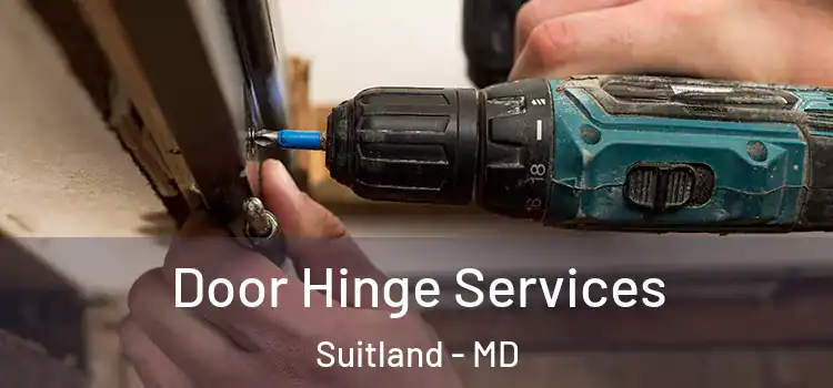 Door Hinge Services Suitland - MD