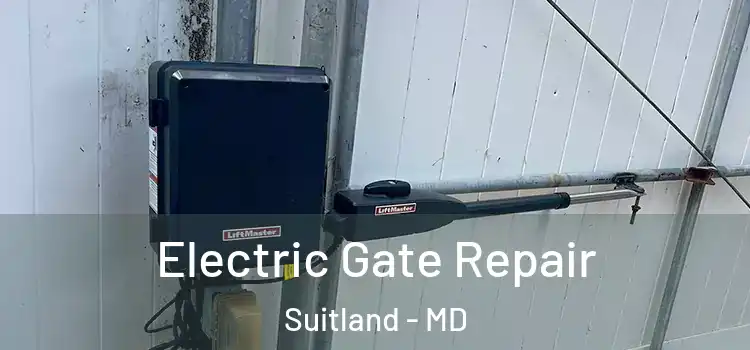 Electric Gate Repair Suitland - MD