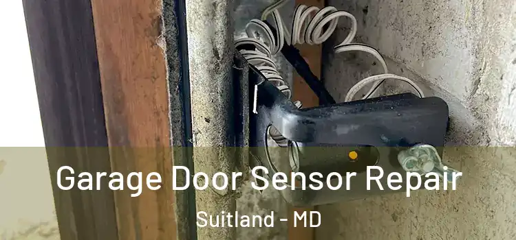 Garage Door Sensor Repair Suitland - MD