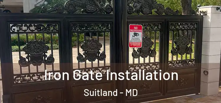 Iron Gate Installation Suitland - MD